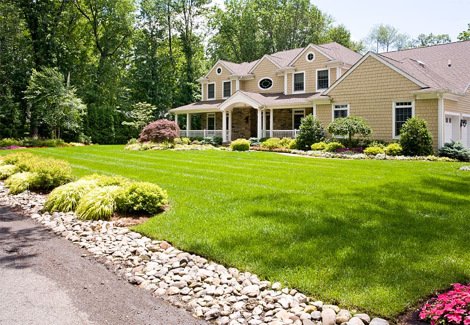 Organic Lawn Care Services Bergen County & Northern NJ