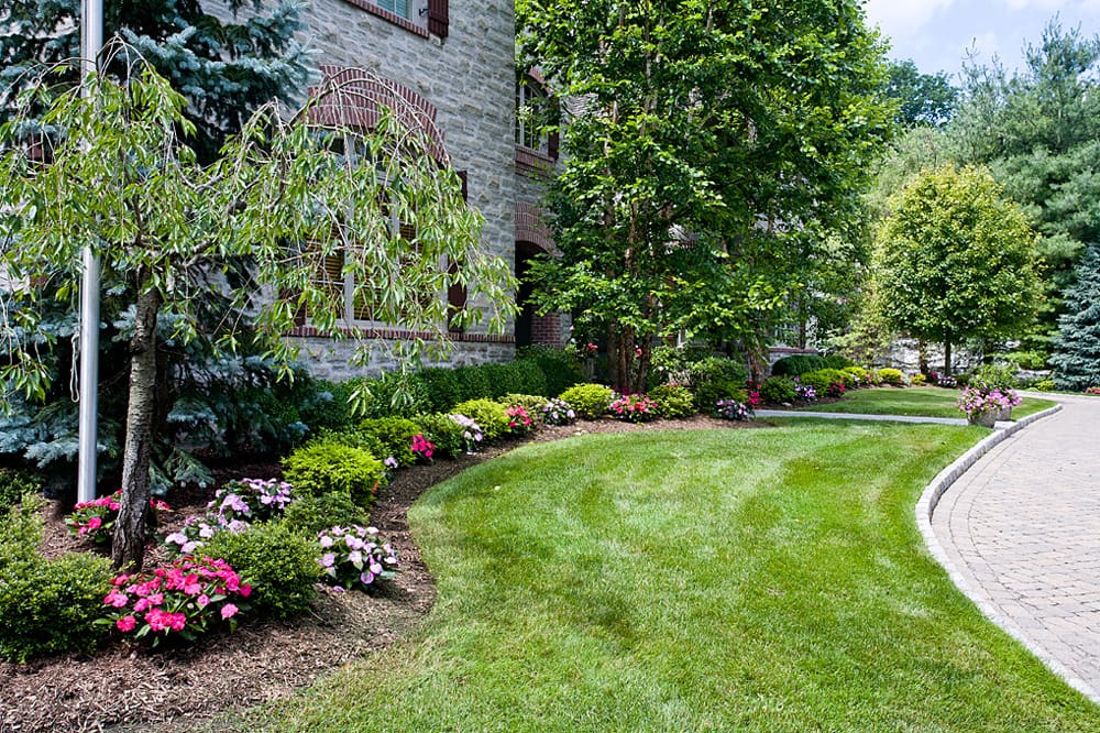 Organic Tree & Shrub Care Bergen County & Northern NJ