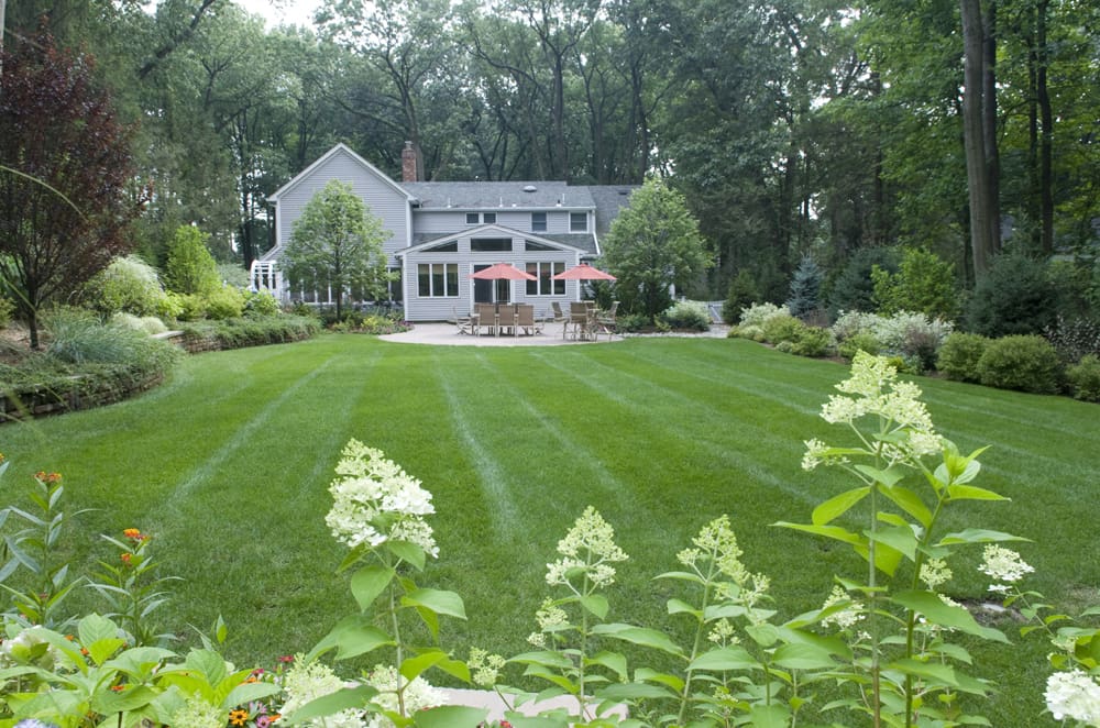 organic lawn care company nj