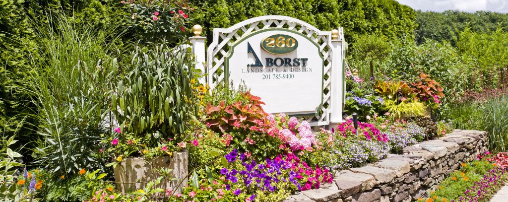 borst landscape design