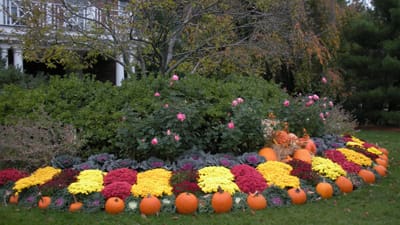 fall front yard landscaping services Bern County NJ