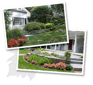 pictures borst landscape design