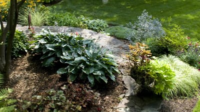 garden designer bergen county nj