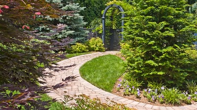 What mulch color/ variety should I replace the current mulch with to make  it look better? We have decorative stones on the border shown here and all  around our home . : r/landscaping