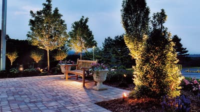 Which Is Better LED Or Halogen Or Incandescent For Your Landscape