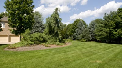 When to Hire a Landscape Maintenance Company in Bergen County, NJ