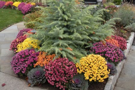 seasonal garden design company Bergen County NJ