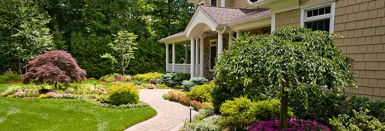 Landscape Maintenance Services