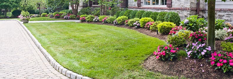 Landscape Maintenance Services