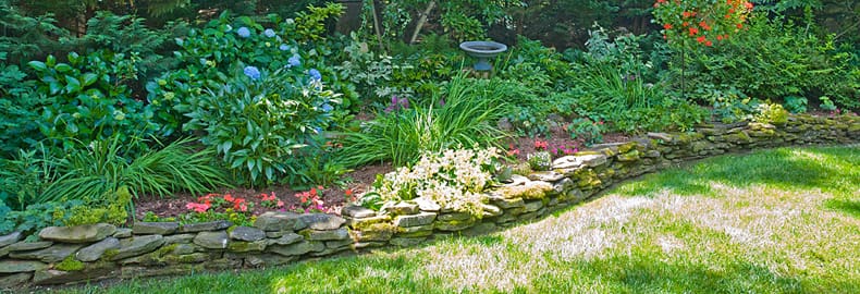 Landscape Maintenance Services