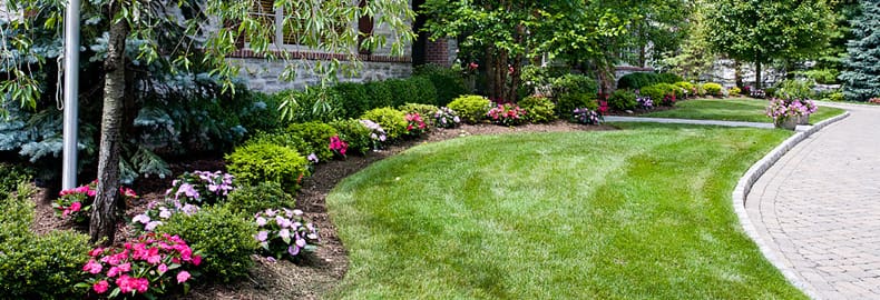 Landscape Maintenance Services in Bergen County, NJ