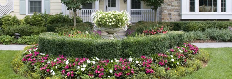 Landscape Maintenance Services in Bergen County, NJ