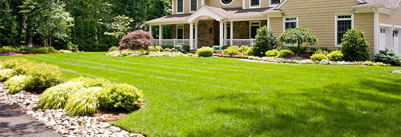 Best Landscaping Advice