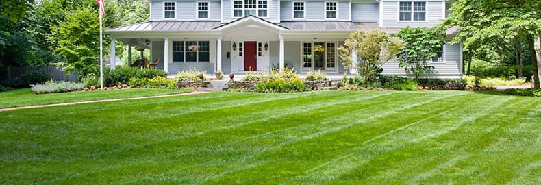 Best Landscaping Advice