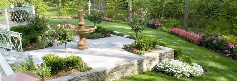 Best Landscaping Advice