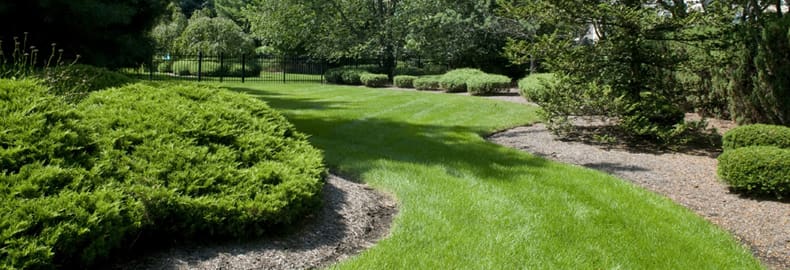 Best Landscaping Advice