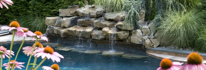 Swimming Pool Design Trends