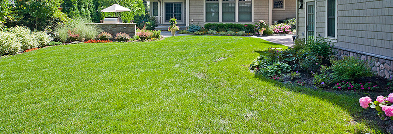 Landscape Design Company in Bergen County, NJ