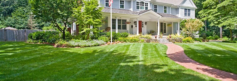 Landscape Design Company in Bergen County, NJ