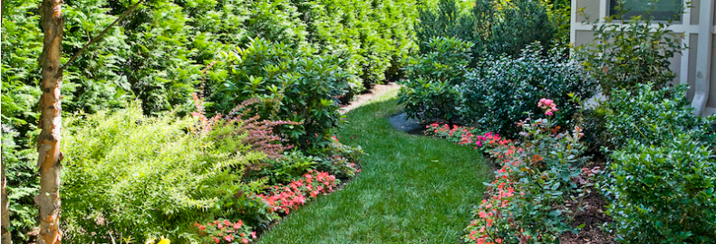 landscaping cost in Bergen County