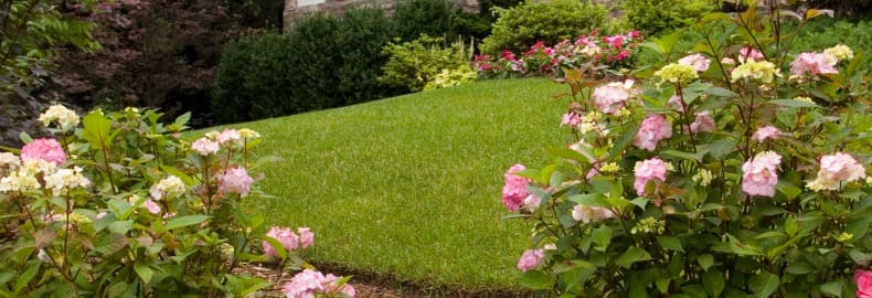 landscape design cost in Bergen County