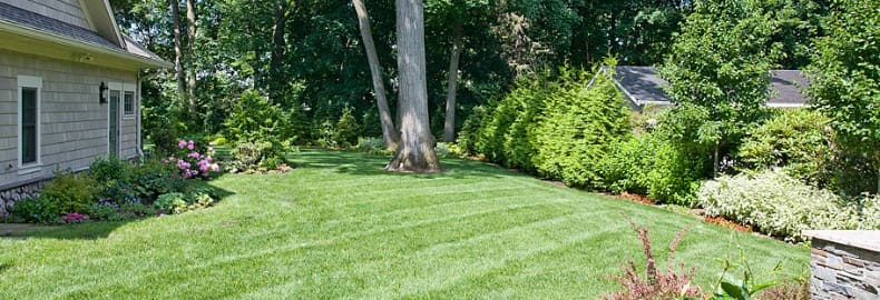 landscaping cost in Bergen County