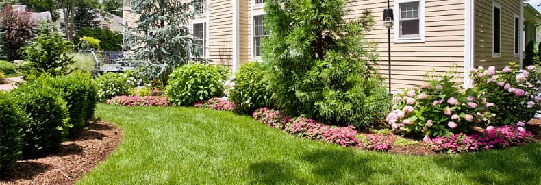 landscaping cost in Bergen County