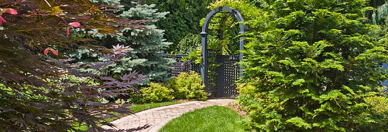 Best Outdoor Walkway Materials