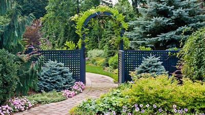 Outdoor Walkway Installation