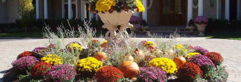 Seasonal Displays