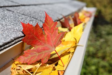 Fall Landscaping Tips