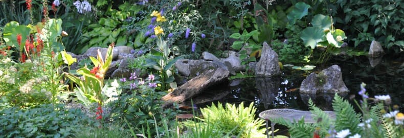 small backyard landscaping ideas
