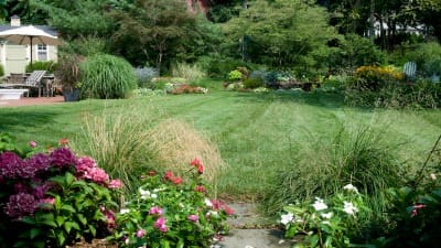 lawn services Bergen County NJ