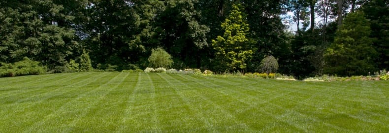 lawn fertilizing service