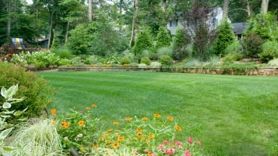 lawn professionals Bergen County, NJ