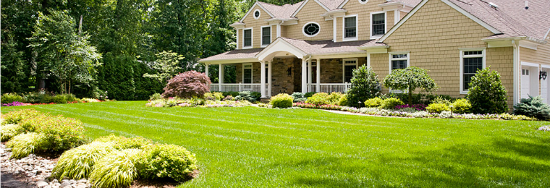 green lawn care