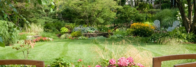 lawn professionals Bergen County, NJ