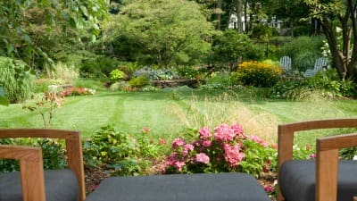 lawn fertilizing service