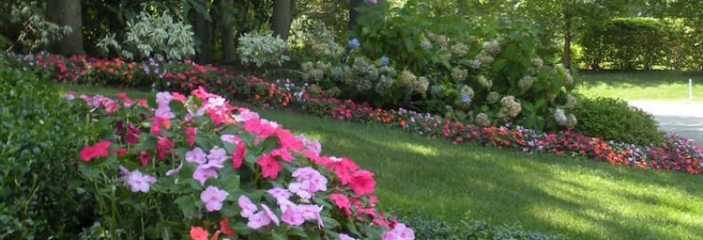 professional lawn service Bergen County, NJ