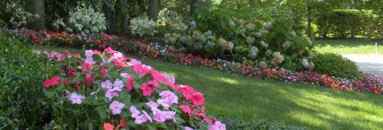 professional lawn service Bergen County, NJ