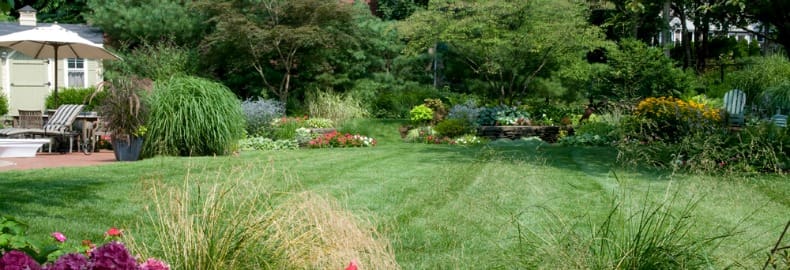 lawn professionals Bergen County, NJ