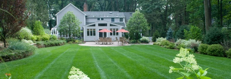 lawn professionals Bergen County, NJ