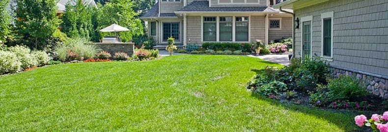 lawn fertilizing service