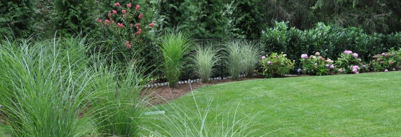 lawn landscape maintenance