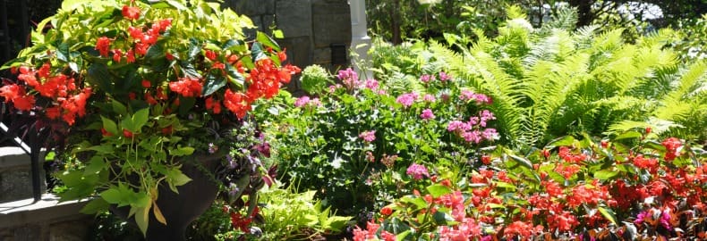 garden maintenance in northern NJ