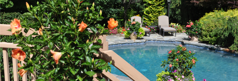 landscaping ideas northern NJ