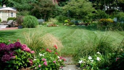 lawn pest control services in Bergen County, NJ