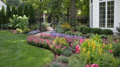 lawn care pest control Bergen County, NJ