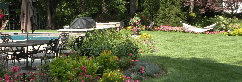 Flea Control In The Backyard