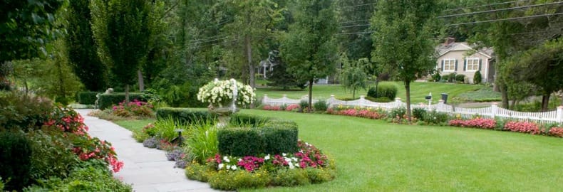 lawn pest control services in Bergen County, NJ